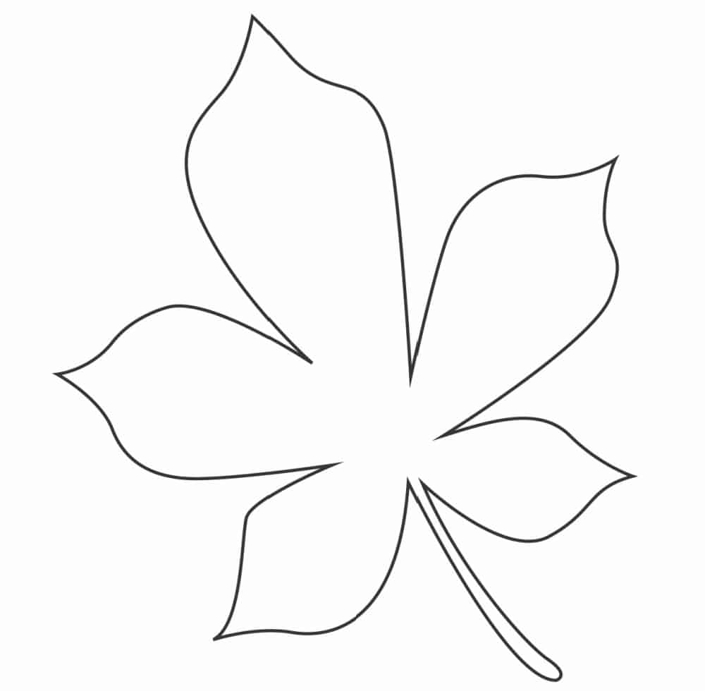 6 Free Fall Leaf Template Printables