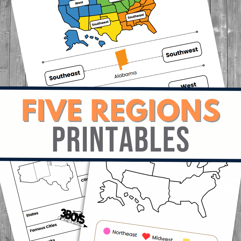 Five Regions Of The United States Worksheets 3 Boys And A Dog