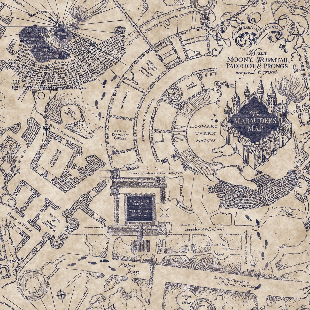 RMK12436RL Harry Potter Marauders Map Peel U0026 Stick Wallpaper 