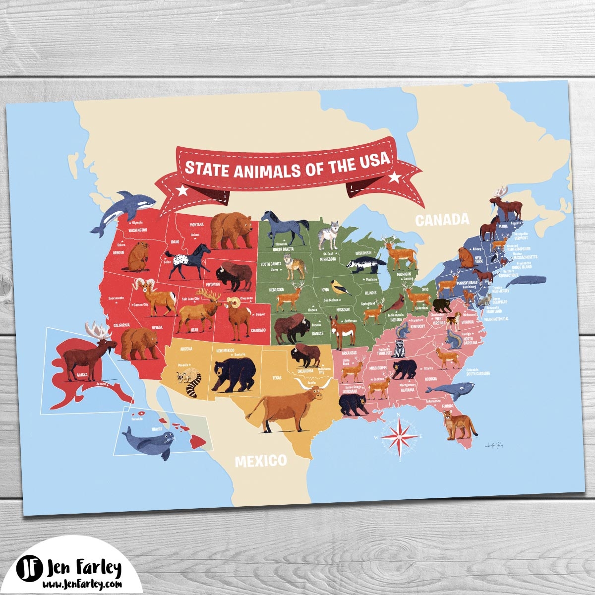 State Animals Of The USA Map Print Colour Version Jennifer Farley Picture Books Illustration Maps Design
