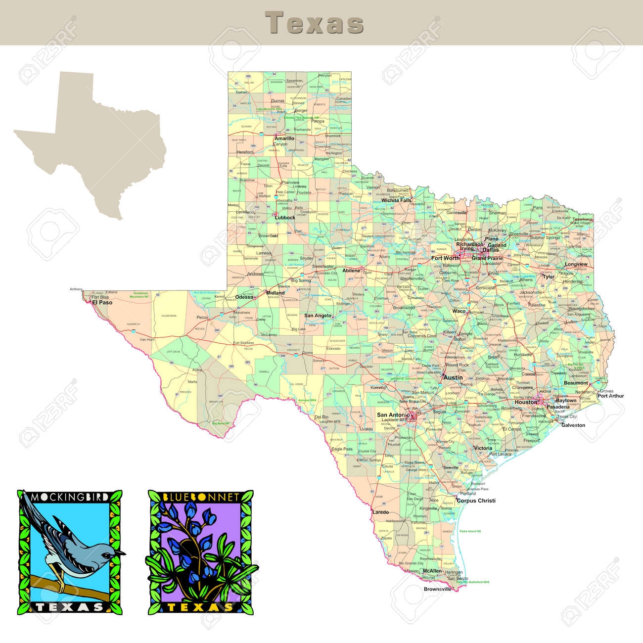 USA States Series Texas Political Map With Counties Roads State s Contour Bird And Flower Stock Photo Picture And Royalty Free Image Image 1565636 